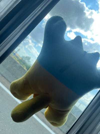 A stuffed toy, colored yellow and blue, is attached to the exterior of a window, with its back facing the camera. The toy is positioned at an upward angle, obscuring a portion of the sky, which is filled with white, fluffy clouds against a bright blue backdrop. To the left of the toy, a dark grey curtain is visible, pulled slightly to the side. The window appears to be dirty, with visible smudges and streaks. Outside the window, a glimpse of a road and green foliage can be seen, suggesting an outdoor environment, possibly alongside a highway. The overall lighting suggests it is daytime, with the sun partially visible through the clouds. The image does not provide specific geographical indicators that would allow for identification of the location within the city of Dachne, Ukraine.