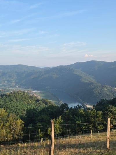 This is an eye-level, full shot of a landscape in the Mali Zvornik Municipality, Serbia. The image showcases rolling, tree-covered hills and a river valley. In the foreground, a rustic wooden fence with wire mesh runs horizontally across the frame, with dry grass and scattered yellow wildflowers on either side. Beyond the fence, the landscape descends into a lush green valley, where a settlement with red-roofed houses and agricultural fields is visible. A wide, blue river meanders through the valley, with some light mist rising from its surface. The background is dominated by layers of hazy, verdant mountains stretching towards the horizon. The sky above is a clear, light blue with a few wispy white clouds.