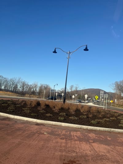 The image depicts an outdoor road intersection in the Town of Cortlandt, United States of America, under a clear blue sky. In the foreground, a reddish-brown textured concrete surface occupies the bottom portion, bordered by a light grey concrete curb. Immediately beyond the curb is a landscaped traffic island covered in dark brown mulch, containing numerous dormant deciduous shrubs with thin, reddish-brown branches.

A tall, black ornamental street lamp with two curved arms and bell-shaped lanterns is positioned on the traffic island, left of center. Beyond this island, an asphalt roadway is visible, featuring white lane markings and multiple traffic signs. These signs include route markers for "EAST WEST 6 6", "202 202 SOUTH 9", and a yellow diamond-shaped pedestrian crossing sign. Several vehicles, including dark-colored cars and SUVs, are present on the roadways, indicating active traffic.

In the mid-background, a dense line of bare deciduous trees stretches horizontally. Further in the background, a prominent, treed hill or mountain is visible, dominating the right side of the horizon. The sky is uniformly clear and bright blue, suggesting a sunny day. No individuals are visible.