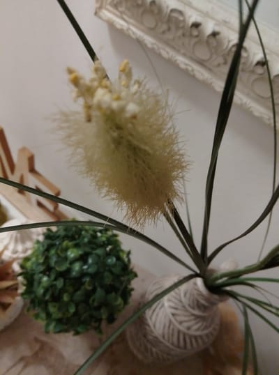 The image shows a close-up of a decorative arrangement featuring a dried flower with delicate, wispy petals, possibly a type of bottlebrush or Pampas grass, with small yellow stamen. This flower is arranged in a vase wrapped with twine. To the left of the vase is a small, spherical artificial plant. In the background, a portion of an ornate, light-colored frame with intricate carvings is visible against a plain wall. The setting appears to be indoors, likely a home interior, given the decorative elements. The lighting is soft, creating a slightly diffused atmosphere. There are no people visible in the image, and no specific geographical markers indicate a location within Wedel, Germany.