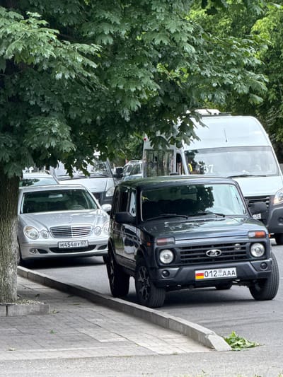 In Sunzha, Russia, a parked dark grey Lada Niva SUV is in the foreground, facing right. The vehicle has a license plate reading "012 AAA" with Russian flag colors on the left and "RSC" below the digits. To the left of the Lada, a silver Mercedes-Benz E-Class sedan is parked, its license plate reading "M454BY 07". Behind these cars, a white van, possibly a Mercedes-Benz Sprinter, is visible. The scene is on a street with a paved sidewalk and trees with lush green foliage overhead. The ground shows scattered green leaves. The lighting suggests it is daytime, possibly overcast. No people are visible in the frame.