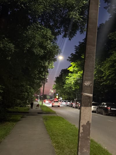 The image depicts a sidewalk on the left and a road on the right, bordered by trees and greenery. The sky is a deep twilight blue, with a faint pinkish hue on the horizon. A man is walking a dog on the sidewalk. On the road, there is a line of cars, suggesting traffic. Streetlights are visible, illuminating parts of the scene. The presence of a prominent concrete pole on the right side of the image, along with the architectural style of some street signs visible in the distance, might suggest a location within the city of Banayurt, Russia, though this cannot be definitively confirmed from the visual information alone. The overall atmosphere is that of a quiet evening or early night in a suburban or semi-urban environment.