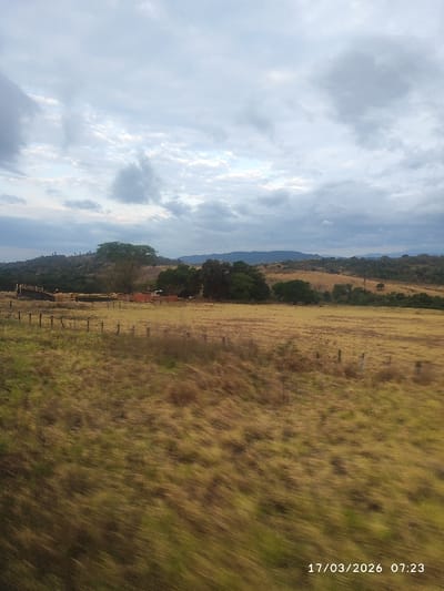 The image displays an expansive, motion-blurred rural landscape, consistent with the area surrounding Ureña, Venezuela. The foreground is dominated by a field of dry, yellow-brown grass with some green patches, exhibiting horizontal motion blur. A rudimentary fence line with dark, weathered posts runs across the mid-ground. Beyond the fence, a large open field of similar dry grass extends towards a cluster of trees. In the mid-distance, to the left, are several stacks of light-colored material, possibly wood or hay bales, arranged near a structure that resembles a corral or a series of wooden barriers. Further right, reddish-orange rectangular objects, potentially bricks or tiles, are stacked on the ground. The background features undulating hills covered with sparse vegetation and trees, receding into the distance. The sky is overcast with a mixture of grey and white clouds, indicating a cloudy morning. No individuals or active interactions are visible. A digital timestamp in the bottom right corner reads "17/03/2026 07:23".