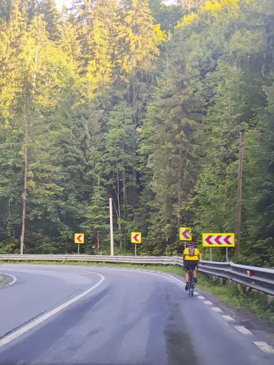The image captures a cyclist in motion on a wet, winding road through a dense, sun-dappled forest, likely in Borșa, Romania. The cyclist, wearing a yellow backpack and a helmet, is positioned in the lower center of the frame, riding away from the viewer. The road curves to the left, with white dashed lines marking the lane and a solid white line on the inner edge. A metal guardrail runs along the right side of the road, adorned with red and white reflectors. Several yellow directional road signs indicating sharp curves are visible along the roadside. The environment is dominated by tall evergreen trees, characteristic of a coniferous forest, with sunlight filtering through the canopy, illuminating the upper parts of the foliage and creating dappled light on the road. The overall impression is one of a scenic and somewhat challenging cycling route through a natural setting.