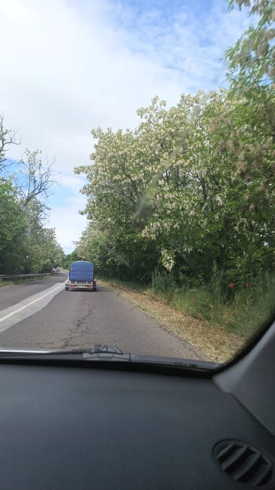 A road in Градина, Bulgaria is viewed from inside a car. A blue covered trailer is ahead. The road is flanked by trees in bloom. The sky is cloudy.