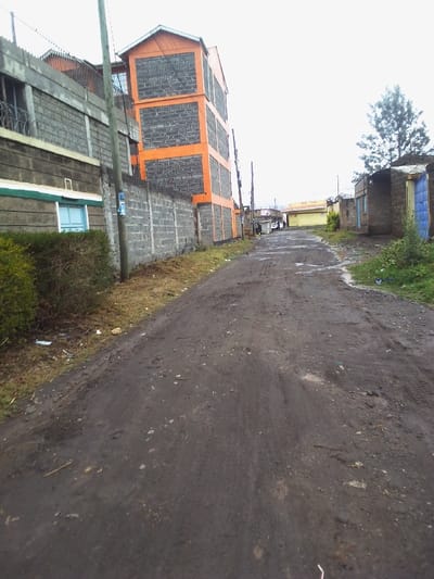 A dirt road stretches into the distance, lined with cinder block walls and buildings. On the left, a taller structure with orange trim stands out. Small sheds and houses dot the right side. A tree reaches into the overcast sky. The road itself is uneven and muddy, showing signs of recent tire tracks. Vegetation peeks through along the sides of the road.