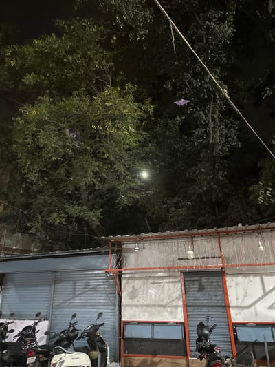 This nighttime image depicts an urban street scene in Surat, Gujarat, India, evidenced by "GJ" license plates on parked vehicles. The foreground features several parked scooters and motorcycles, including models like TVS Scooty Pep Plus and Suzuki Access 125. Behind the vehicles, two adjacent commercial structures are visible. The left structure has two light-colored corrugated metal roller shutters, closed. The right structure is a temporary-looking stall with an orange metal framework supporting a corrugated roof. This stall's facade is composed of light-colored panels with dark window sections below, and its central section features a closed dark-colored roller shutter. Three exposed white LED bulbs hang from the orange frame, accompanied by strings of decorative lights.
Above the structures, dense foliage from large trees dominates the upper two-thirds of the frame. A bright, circular street lamp illuminates a section of the trees from within their canopy. Two kites are entangled in the trees: one dark-colored kite, partially obscured, is visible in the upper left section of the main tree mass, while a distinct purple kite is snagged further to the right, higher in the canopy. A thick black cable or power line runs diagonally from the upper right corner towards the center-left. No people are visible. The overall scene suggests a commercial area after business hours.