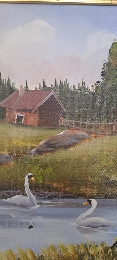 This is a painting depicting a pastoral scene, likely in the Hässelby area of Sweden, given the context. In the foreground, two white swans are swimming in calm water. The swan on the left is facing left and has its neck arched. The swan on the right is facing right and is slightly further away. The water reflects the sky and surrounding landscape.
In the middle ground, there is a grassy area with a large, light-colored rock. Behind the rock, a wooden fence runs horizontally across the painting. Further back, a rustic, red-roofed building with a wooden facade stands amongst a dense backdrop of green trees, characteristic of a Swedish forest. The sky above is a light blue with soft white clouds. The overall impression is one of peaceful rural life. The painting is framed in a thin gold-colored frame.
