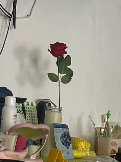 A single, dark red rose with green leaves is positioned horizontally against a white wall, casting a shadow. The rose appears to be artificial, likely a prop or decoration. To the right of the rose, a collection of various objects is visible, suggesting a cluttered shelf or workspace. These objects include what appear to be bottles, containers, and other assorted items, some in plastic packaging. Among these, a yellow sponge-like object and a packet with dark blue circular patterns are discernible. The lighting suggests an indoor environment, possibly with natural light from an unseen source. There is no indication of the time of day, weather, or specific location cues beyond the objects that might be found in a home or personal space. No people are visible in the image.