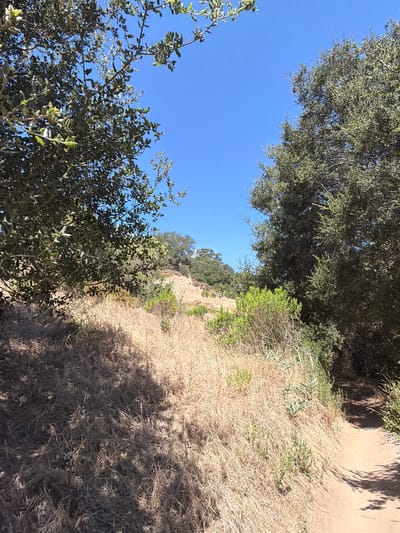 The image depicts a hiking trail winding through a dry, grassy hillside in Aliso Viejo, California. The trail is made of dirt and is partially shaded by trees. The vegetation is predominantly dry, golden grass, with scattered green bushes and larger trees with dark green foliage framing the scene. The sky is a clear, bright blue. The perspective suggests the photo was taken from a low angle, looking up a gentle incline along the trail. The overall environment is natural and appears to be a park or open space area typical of Southern California.