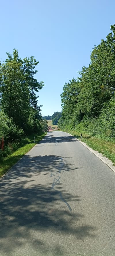 The image shows a two-lane asphalt road leading uphill through a rural area. The road is bordered by dense green trees on both sides. The sky is clear and blue. There are some white roadside markers visible, and shadows from trees are cast on the road, indicating a sunny day. In the distance, there is a field with some buildings and trees. The scene depicts a quiet, scenic road likely located in the countryside surrounding Vilseck, Germany.