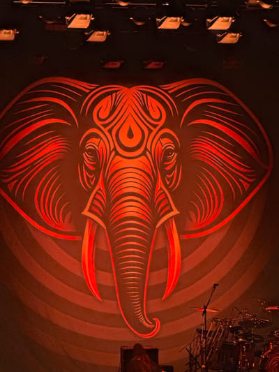 A large, stylized orange elephant graphic dominates the scene, illuminated from behind against a dark backdrop. The elephant's face is rendered with intricate lines and patterns, with its trunk and tusks prominently displayed. Behind the graphic, circular patterns of light and shadow create a sense of depth. In the foreground, to the right, a drum kit and microphones are visible, suggesting a concert or performance setting. A single person's silhouette is visible at the bottom center of the image, facing away from the camera. The overall lighting is dim, with a warm orange hue. The image was captured at the Royal Danish Theatre - Opera House in Aarhus, Denmark.