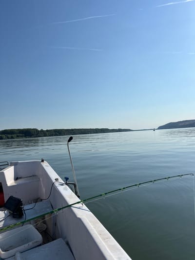 The image depicts a serene scene from a boat on a wide, calm river, likely the Danube, near Dolni Vit, Bulgaria. The sky is a clear, pale blue, with two faint contrails streaking across it. The water is a tranquil, deep blue-green, with gentle ripples reflecting the light.
In the foreground, the white hull of a small motorboat is visible, with a fishing rod extending from its side into the water. The rod is green and has several guides. Inside the boat, a black fishfinder is mounted on the console, along with some white buckets. A silver pole with a black handle is also attached to the boat.
The distant banks of the river are lined with lush green trees, creating a verdant horizon. A small black buoy stands in the middle of the river, indicating a channel or hazard. The overall impression is one of peaceful angling in a natural setting.