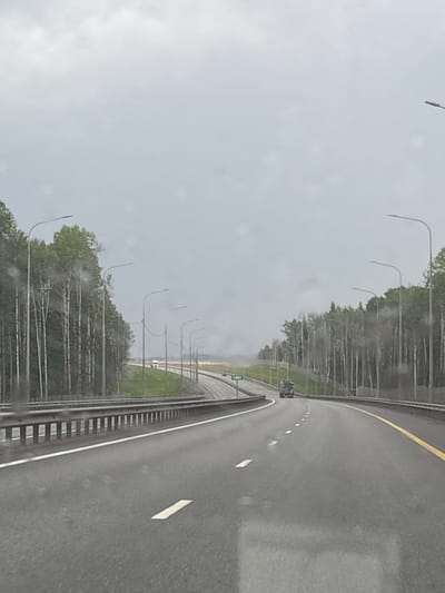The image captures an overcast daytime scene on a highway, likely viewed from inside a moving vehicle due to visible water droplets or streaks on a window. The dark asphalt road curves gently to the right, appearing wet from recent or ongoing rain. A solid yellow line separates the lanes from the left side of the road, while white dashed lines mark the individual lanes.
To the left, a metal guardrail runs alongside the highway, beyond which a dense line of trees forms a natural barrier. Several streetlights with distinct curved arms are spaced out along the treeline, extending into the distance. A small, dark vehicle is faintly visible further down the road.
A notable detail is a green road sign with the white numbers "1461" displayed on the left side, near the guardrail. The sky is entirely grey and cloudy, indicating a heavily overcast day with subdued lighting. The scene conveys a sense of travel on a highway, with the wet road and grey sky contributing to a somewhat somber or reflective atmosphere. No people are visible.