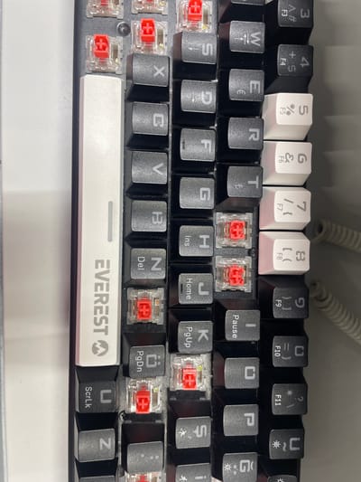 The image shows a close-up of a mechanical keyboard with visible red switches. The keyboard is black with some white and gray keycaps. Several keys have visible lettering and symbols, including function keys (F3-F11), alphanumeric keys (W, E, R, T, G, S, D, F, H, J, K, X, C, V, B, N), and special function keys (Pause, Ins, Home, PgUp, Del, PgDn, ScrLk). The brand name "EVEREST" is visible on a white key. Some of the keycaps are detached, revealing the red mechanical switches underneath. The setting appears to be indoors, possibly a desk or workspace, with a white surface in the foreground and background. The lighting is bright, suggesting an indoor setting with artificial light or good natural light. There are no people visible in the image. The image focuses on the details of the keyboard, particularly its mechanical components. No time of day, weather, or emotional cues are discernible.