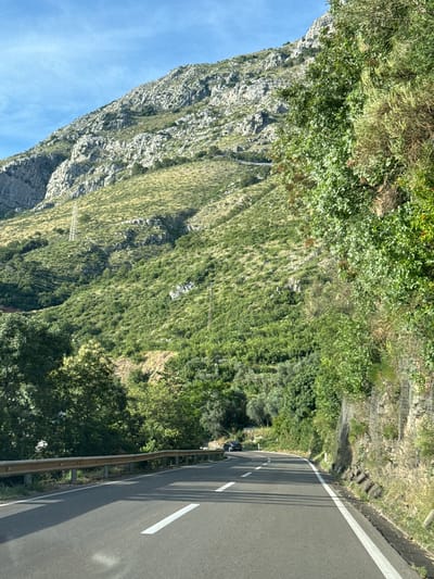 The image shows a winding road with a guardrail on the left, leading into a mountainous landscape. The road is asphalt with white lane markings. On the right side of the road, there is a steep, rocky incline with netting to prevent rockfalls, and various vegetation. The mountain slopes are covered with green grass and scattered trees. In the distance, a black car is visible on the road. The sky is blue with some clouds. The scene appears to be located in a rural, mountainous area, possibly along a coastal road given the vegetation. The overall impression is a scenic drive through a natural landscape.