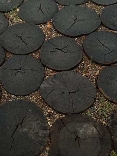 The image shows a close-up, overhead view of a pathway made of circular, dark wooden logs. These logs are laid out closely together, with small pebbles, dry pine needles, and sparse green grass filling the gaps between them. The texture of the logs is rough, with visible wood grain and numerous cracks emanating from the center of each circular cut. The dark color of the logs suggests they may be treated or aged wood, possibly charred. The scene appears to be outdoors, given the presence of natural ground cover and vegetation. There are no people or specific activities depicted; the focus is solely on the textural and patterned arrangement of the wooden logs and the surrounding natural elements. The lighting suggests it could be daytime, with diffused light that doesn't cast harsh shadows, implying possibly an overcast day or a shaded location. The location cues, such as pine needles and the type of ground cover, are consistent with a forest or park setting. No visible text is present in the image.