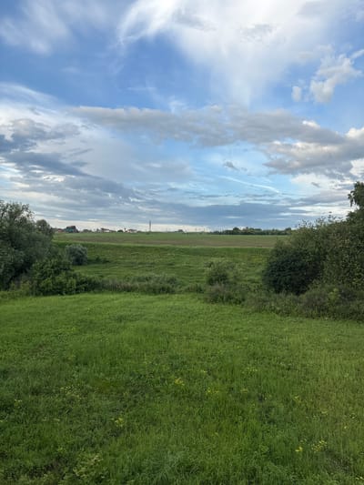 An outdoor, daytime, vertical, full-shot image captures a vast, rolling green meadow bathed in soft, diffused light from a partly cloudy sky. The foreground is dominated by tall, lush green grass, interspersed with a few small yellow wildflowers. A line of dense, dark green trees and bushes extends across the middle ground, partially obscuring the view of a distant, open field. In the far distance, a small cluster of houses with red and white roofs is visible on a gentle rise, suggesting a rural or semi-rural setting. The sky above is a mix of light blue and various shades of gray and white clouds, some wispy and others more solid, with a hint of sunlight breaking through. The overall impression is one of a serene, natural landscape under a dynamic sky. The scene is located in the village of Permyaki, Russia. There are no people or animals visible in the image.