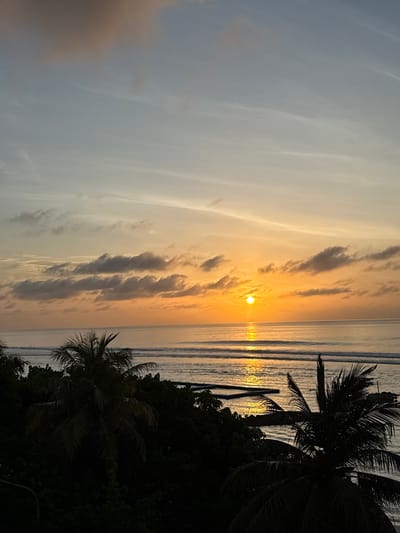 An outdoor, high-angle shot captures a serene sunset over the ocean near Malé, Maldives. The sun, a bright orange orb, is positioned just above the horizon, casting a shimmering reflection on the water's surface. The sky is a gradient of soft blues and oranges, with scattered clouds adding texture. In the foreground, the dark silhouettes of palm trees and lush vegetation frame the scene. The ocean exhibits gentle waves, with distinct lines of surf breaking in the distance. The overall impression is one of tranquil beauty, characteristic of a tropical evening.