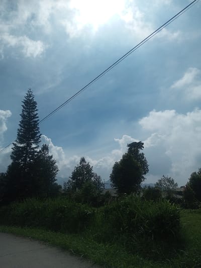 The image displays an outdoor scene in the city of Đăk Pxi, Vietnam, under a bright, partially cloudy sky. The upper portion is dominated by a clear blue sky interspersed with large, white cumulus clouds, with a bright light source, presumably the sun, emanating from the upper right. Two thin, dark utility lines stretch diagonally across the sky from the upper left to the mid-right. The midground features a dense line of various trees and shrubs, casting dark silhouettes. On the far left, a tall, slender, conical evergreen tree stands prominently. Multiple other deciduous and evergreen trees of varying heights form a forested line across the middle of the frame. The foreground consists of overgrown green grass and undergrowth. A dark gray paved surface, consistent with a road or path, is visible along the bottom left edge, bordered by the vegetation. Distant mountains or hills are faintly discernible beneath the clouds and beyond the tree line, with indications of scattered, low-lying structures in the mid-distance. No individuals or active subjects are present.