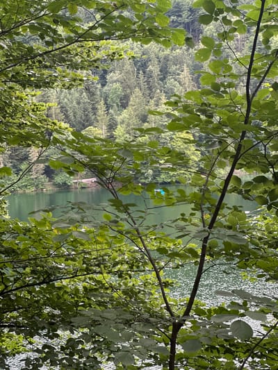 The image captures a serene lake nestled within a dense forest, framed by lush green foliage in the foreground. The water is a deep emerald green, reflecting the surrounding trees and the dappled sunlight that creates a shimmering texture on its surface. On the far bank of the lake, a narrow, paved path winds through the trees, with a few figures visible near a small docked boat. In the distance, a vibrant teal kayak glides across the tranquil water, adding a splash of color to the natural landscape. The scene, likely captured in Kiefersfelden, Germany, exudes a peaceful, natural ambiance.