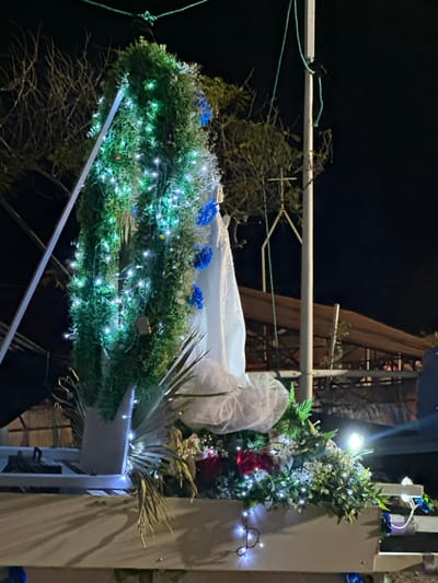 The image captures a detailed shot of a decorated structure at night, suggesting a festive or ceremonial occasion. The primary focus is on a horizontal arrangement of artificial greenery, resembling a lush garland or wreath, which is extensively adorned with small, bright white string lights that emit a cool, blueish glow.

On top of this green garland, several vibrant blue flowers, possibly carnations or chrysanthemums, are interspersed, adding a pop of color. To the right of these blue flowers, a white, elongated, and somewhat boat-shaped or cradle-like object is visible. It is largely covered by a sheer, crinkled white fabric or tulle, which drapes loosely over its contours, giving it a delicate appearance. This white object is positioned centrally on the green base.

Further to the right, a vertical white column or beam is decorated with more artificial foliage, similar to the main garland. This vertical decoration also features red and white flowers and is wrapped with string lights, mirroring the aesthetic of the horizontal display. A single, bright, unshaded light bulb is prominently visible attached to this vertical structure, casting a direct light onto some of the decorations. Broad, dried, light-colored palm fronds are also part of the decorative arrangement on the lower right, emerging from a white container.

In the upper left quadrant of the image, a horizontal white bar or pole is visible, with green ropes or wires tied around it, suggesting a support structure or rigging. The background is predominantly dark and out of focus, indicating that the photograph was taken at night. Indistinct shapes of trees or perhaps scaffolding and other architectural elements can be faintly discerned against the dark sky, particularly towards the center and left.

The overall impression is one of elaborate outdoor decoration, likely part of a parade float, a display for an event, or a temporary festive installation. No text is visible in the image.