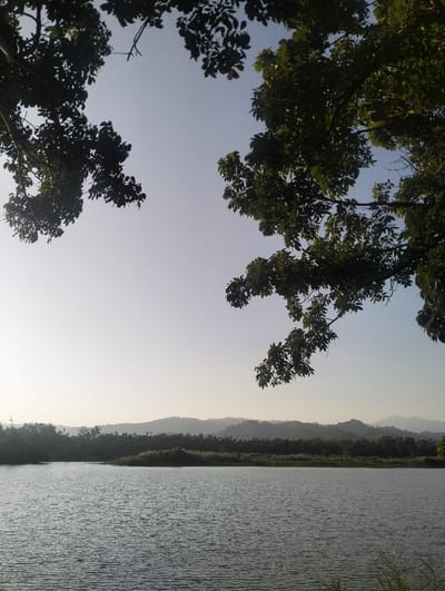 A serene lake reflects the pale sky. The opposite shore is lined with trees and grasses, with softly-focused hills in the background. Tree branches laden with foliage frame the top of the image, their dark silhouettes contrasting against the bright sky. Ripples disturb the calm surface of the water, creating a textured effect. The overall impression is one of tranquility and natural beauty.
