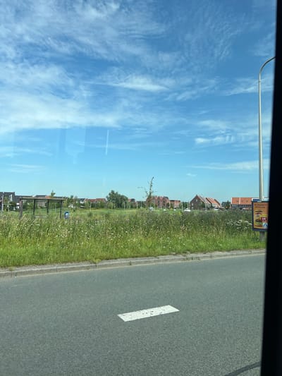 The image depicts a suburban landscape with a bright blue sky featuring scattered white clouds. In the foreground, a paved road with a white line marking is visible, bordered by a grassy verge and a curb. Beyond the verge, a field of tall green grass with scattered wildflowers stretches towards a line of modern residential houses with red-tiled roofs. A bus stop shelter with a dark frame and transparent roof is situated in the field. Further to the right, a lamppost and a billboard displaying an advertisement for a burger are prominent. The overall scene suggests a sunny day in a residential area, possibly on the outskirts of a town or city in the Netherlands.