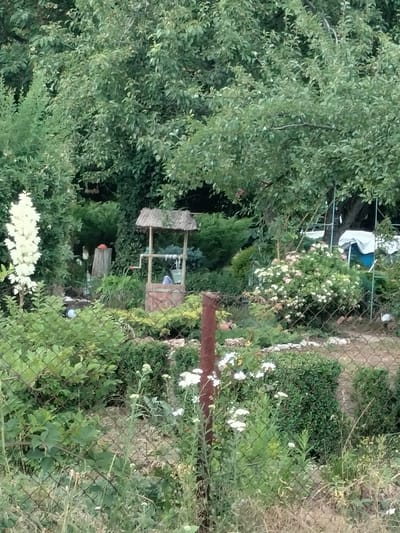 The image depicts a lush garden scene, possibly in Kudashivka, Ukraine, with a traditional well as a central feature. The well is constructed of wood and stone, topped with a thatched roof, and appears to be functional, with buckets and what looks like a purple cloth inside. The garden is densely planted with a variety of greenery, including tall, leafy trees that cast shadows, creating a dappled light effect suggesting it is daytime, likely late afternoon or early evening due to the soft lighting.

In the foreground, a wire fence separates the viewer from the garden, with tall grasses and wildflowers growing in front of it. Behind the fence, manicured bushes and flowering plants, including a prominent white flower stalk on the left and a cluster of pink and white roses on the right, add color and texture to the scene. A rusty metal post stands near the fence, hinting at the passage of time and the natural aging of elements in the garden. The overall atmosphere is one of tranquility and natural beauty, a serene rural setting that evokes a sense of peace. There is no visible text in the image.