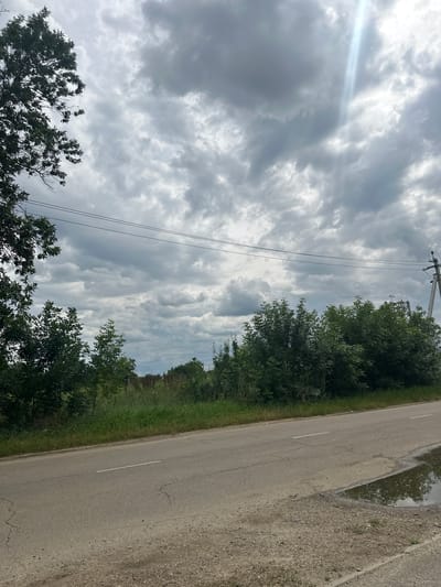 An asphalt road stretches across the lower portion of the frame, a white line marking its center. A puddle reflects the overcast sky on the right side of the road. On the left, lush green trees and vegetation border the road, with taller trees framing the left edge of the image. In the background, a dense line of trees creates a dark green horizon. Above, a dramatic sky is filled with heavy, grey clouds, broken by a bright shaft of sunlight piercing through from the upper right. Power lines are strung across the sky. The scene appears to be a rural road in Tbilisskaya, Russia, under cloudy weather conditions.