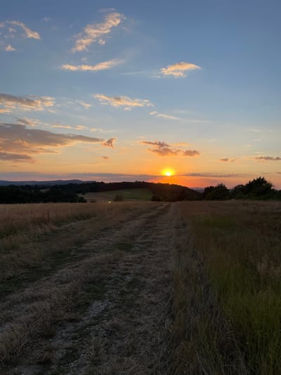 The image depicts a sunset over a rural landscape. A dirt path, flanked by dry grasses and some patches of green vegetation, leads towards a rolling hill in the distance. The sun is low on the horizon, casting an orange glow across the sky, which is dotted with scattered clouds tinged with pink and yellow. Beyond the foreground path and hills, a dark line of trees marks the transition to the horizon, beneath which a pale band of sky is visible before meeting the darker landscape. The overall impression is of a tranquil, natural setting during the golden hour. The provided information indicates the location as Dolni Dragoicha, Bulgaria. There are no people or animals visible in the image, and no specific actions or interactions are depicted. The environment is characterized by fields, hills, trees, and a sunset sky.