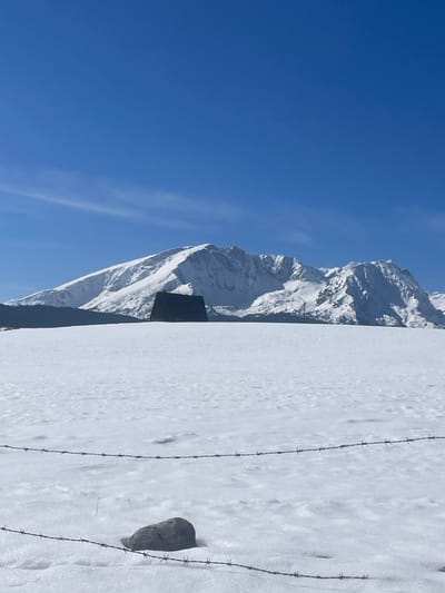 The image depicts a vast, snow-covered winter landscape under a clear blue sky, situated in Palež, Montenegro. In the immediate foreground, two parallel strands of rusted barbed wire stretch horizontally across the lower portion of the frame, partially obscured by snow. A single, dark gray rock, approximately football-sized, rests on the snow just above the lower barbed wire strand, slightly to the left of the frame's center. The midground is dominated by an expansive, uninterrupted field of white snow. Centered horizontally in the distance, a small, dark-colored building with a steeply pitched, A-frame or triangular roof stands out against the snow, appearing solitary. Beyond the building, the background features a long range of rugged, snow-capped mountains, exhibiting visible rock formations and deep snowdrifts. The sky above is uniformly bright blue with only a few faint, wispy cirrus clouds visible in the upper left quadrant. No individuals or overt actions are present in the scene, which conveys a sense of stillness and cold.