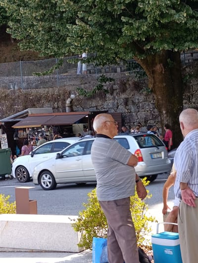 The image captures a street scene in Terras de Bouro, Portugal, with a focus on a roadside market and several individuals. In the foreground, two men are visible from the chest down, one wearing a grey striped shirt and brown pants, and the other a blue and white striped shirt and khaki pants. Next to them is a blue and white cooler. Behind them, a silver station wagon is parked on the street, with its rear facing the camera. Further back, a small market stall is set up with awnings, displaying various items for sale, including what appear to be kitchen utensils and other wares. Several people are browsing or working at the market. A white hatchback is parked in front of the stall. The background features a stone wall, a chain-link fence, and lush green trees, with sunlight filtering through the foliage. The ground is paved asphalt.