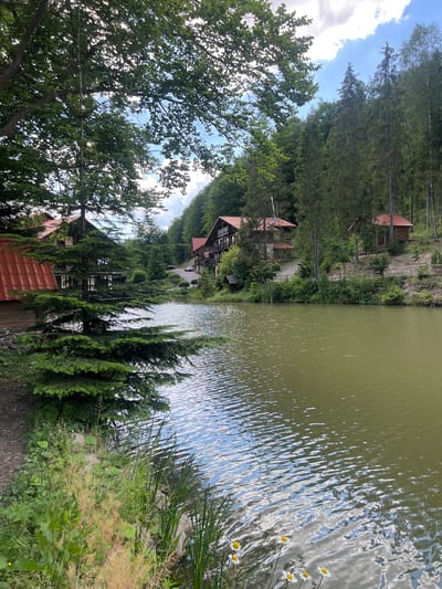 A picturesque view of a serene lake is captured in this image, set against a backdrop of lush green trees and rustic wooden buildings. The lake's surface is rippled, reflecting the sky and surrounding foliage, creating a tranquil and inviting atmosphere. Several wooden chalets with red-tiled roofs are nestled amongst the trees on the far bank of the lake, suggesting a vacation resort or a quiet residential area. The foreground features tall green trees and a small patch of wild flowers, adding a touch of natural beauty to the scene. The overall impression is one of peace and natural harmony, characteristic of the charming village of Khashchovania in Ukraine.