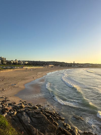 The image captures a beach scene in Bondi Beach, Australia. The view is elevated, looking down on the shoreline where waves are breaking. People are present on the beach, some walking along the sand and others closer to the water. Buildings and greenery line the coast adjacent to the beach. Rocks and vegetation are visible in the foreground. The sky is clear, transitioning from blue to a lighter hue near the horizon, suggesting either sunrise or sunset.