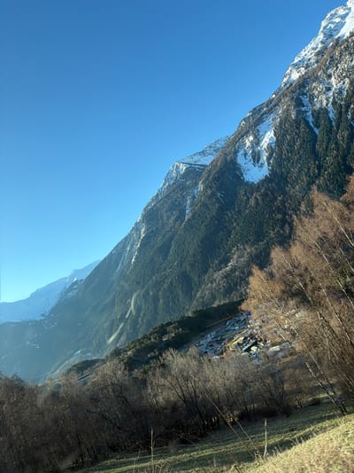 The image depicts a mountainous landscape on a clear, sunny day. The sky is a bright, cloudless blue. The left side of the frame is dominated by a mountain range with patches of snow at higher elevations. A dense evergreen forest covers the lower slopes of the mountains. Along the base of the mountains, where the forest meets the valley floor, is a narrow strip of buildings, likely a settlement or small town, which can be identified as part of Saint-André, France. To the right of the forest, the landscape transitions to more open areas with bare trees and grassy fields.