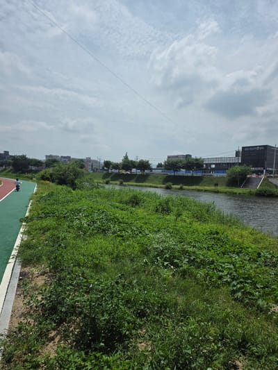 The image shows a wide, slow-moving river with a grassy bank on the right. On the left bank, there is a paved recreational path with a green and red track. A person on a scooter is riding on the green section of the path. Beyond the path, there are trees and buildings, indicating an urban or suburban environment. The sky is overcast with scattered clouds. The scene appears to be a park or recreational area along the river in Anseong-si, South Korea, likely a place for walking, cycling, and other outdoor activities.