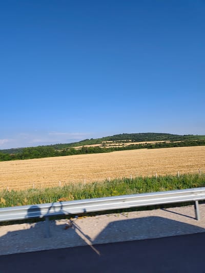 The image shows a vast, golden field of harvested crops, likely wheat, under a clear, bright blue sky. In the distance, rolling hills covered with green trees create a natural landscape. The field is bordered by a line of green vegetation and a metal guardrail. The foreground shows a section of a road or pathway with a concrete surface and the shadow of a guardrail and possibly people. The scene appears to be an outdoor rural setting.
