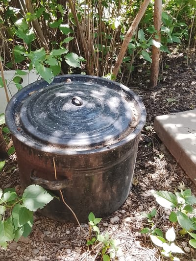 A dark, large pot with a lid sits outdoors amongst vegetation and gravel. The pot has a textured, possibly enamel surface with a handle on its side and a knob on its lid. The surrounding environment appears to be a garden or yard area with various plants, some with visible leaf damage, and a concrete slab is partially visible to the right. The scene is illuminated by sunlight, casting shadows. There are no people visible in the image. The specific location is Жалпақсай, Kazakhstan.