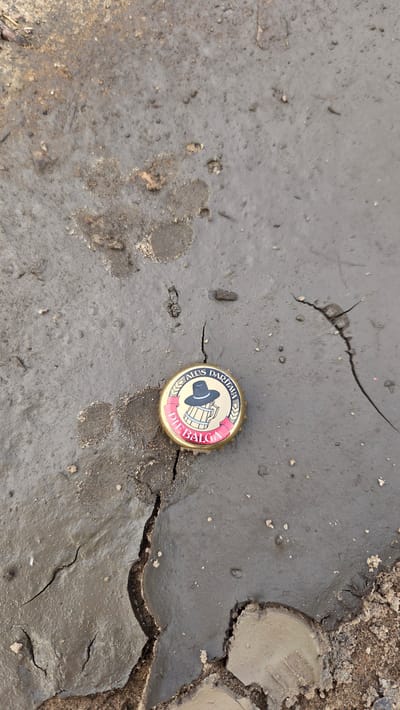 The media file is a close-up, overhead shot of a single, gold-colored beer bottle cap lying on a cracked, muddy surface. The cap is embossed with a logo featuring a black hat, a wooden barrel, and text. The visible text reads "ALUS DARĪTAVA" in a curved arc on the top portion of the cap, and "DIE BALCA" in a red banner across the bottom. The background consists of dark, wet soil or mud, with noticeable cracks and indentations, suggesting a dry and possibly uneven ground surface. There are also several darker, irregular shapes on the mud, possibly footprints or other imprints. The lighting is even, suggesting an overcast day, and there are no clear indications of a specific time of day or weather conditions beyond the presence of mud. The scene appears to be outdoors, possibly in a rural or undeveloped area, given the natural ground material and lack of any man-made structures. The focus is solely on the bottle cap and its immediate surroundings.