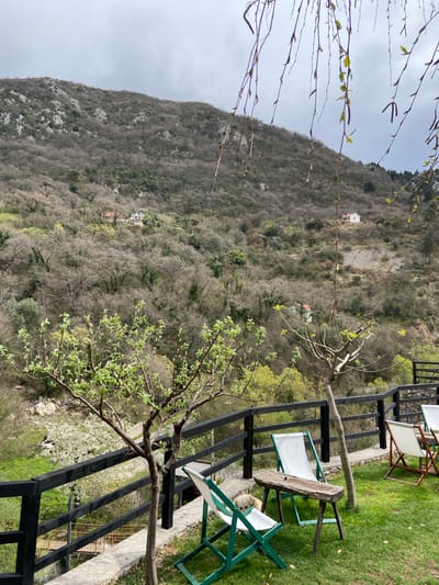 The image shows a hillside location in Krapina, Montenegro. The hillside is covered in trees and vegetation with a few scattered buildings. In the foreground, there is a patio with a black fence and several lawn chairs. One chair has a small white dog sitting in it. A tree with green leaves is growing near the patio. The sky is overcast.
