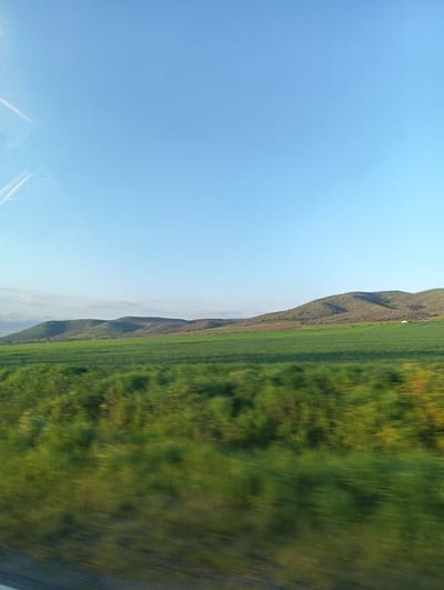 The image presents a landscape outside of Sadievo, Bulgaria. The scene is dominated by a clear, light blue sky. Below, rolling hills are partially covered with sparse vegetation and some bare patches of earth. A wide, green field occupies the midground, likely farmland. In the foreground, blurred green foliage rushes past, suggesting the image was taken from a moving vehicle. There are no discernible people or interactions within the frame. The general atmosphere is rural and peaceful.