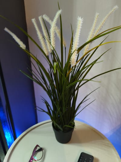 An artificial grass plant with white plumes sits in a black pot on a round, light-colored table. To the left of the plant, on the table, a pair of pink-rimmed glasses is visible. To the right of the glasses, a black remote control is also present on the table. The background consists of a dark gray wall on the left and a light-colored wall on the right, with blue lighting illuminating the lower left portion of the scene. The image appears to be taken indoors, possibly in a residential setting within Cavite City, Philippines.