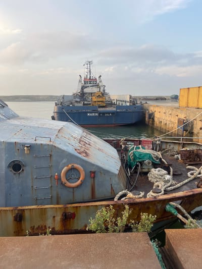 Several docked ships occupy the frame. A large, blue vessel labeled "MARIN K SEA" is visible in the background. Adjacent to it is a tugboat. In the foreground, a weathered grey vessel with a rusty exterior is prominently displayed, featuring a life preserver and various access points. Ropes and greenery are scattered on the ship's deck. Part of a port or dock is visible between the ships. The sky is overcast.