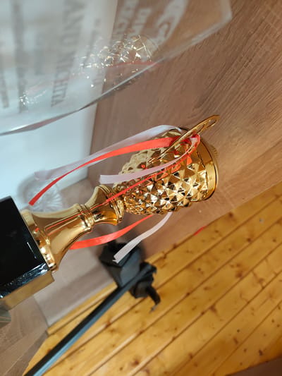The image displays a gold trophy with a patterned cup and a black base, adorned with red and white ribbons. It is positioned on a wooden surface that appears to be a table or shelf, with a white wall in the background. The trophy is angled, and the lighting suggests it is indoors, likely in a home or office setting. There are no people visible in the image. The location is identified as Edineț, Moldova.