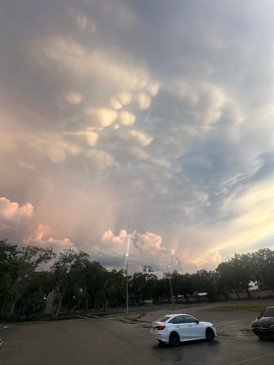 The image shows a parking lot with trees and a dramatic sky. The sky is filled with mammatus clouds, which are pouch-like formations that hang from the underside of a cloud. The clouds are lit by the setting sun, casting a pink and orange glow on them. In the parking lot, there are two cars: a white sedan and a black Mercedes-Benz. The ground is wet, suggesting that it has recently rained. The scene appears to be in a suburban or commercial area, with a few streetlights visible. The location is identified as Melbourne, United States of America.