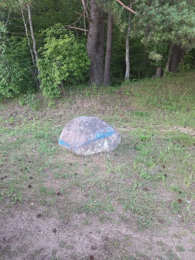The image depicts a boulder with a blue stripe painted across its surface, resting on a patch of grass in a natural setting. In the background, a dense forest with various trees, including pine and deciduous varieties, is visible. The ground is covered with dry grass, scattered pine cones, and some bare soil. The lighting suggests it is daytime, with natural light filtering through the trees. The scene appears to be in the vicinity of Доктаравіцкі сельскі Савет, Belarus. There are no people or animals present.