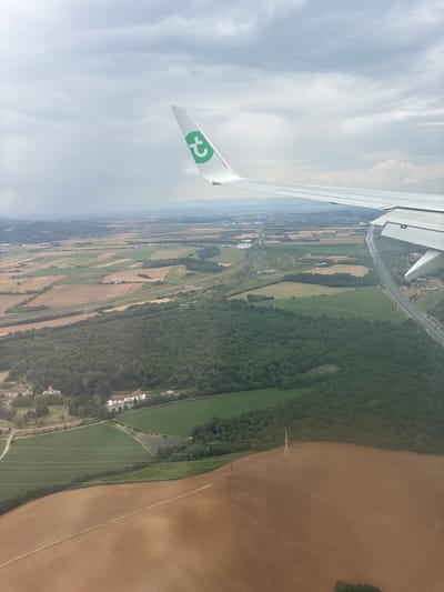 An aerial photograph depicts a rural landscape near Bonnefamille, France, viewed from the window of a Transavia aircraft. The white aircraft wing, featuring a green 't' logo on its wingtip, occupies the upper left and right portions of the frame, with visible flap components on the right wing section.
The ground below is composed of a mosaic of agricultural fields in shades of light brown (likely fallow or recently harvested) and vibrant green (cultivated land), interspersed with a large, dense, dark green forest centrally located. Two distinct building complexes are visible at the western edge of this forest: one with light-colored roofs and another with reddish-orange roofs.
Major transportation infrastructure traverses the scene, including a multi-lane highway running diagonally from the upper right towards the center, paralleled by railway tracks. A small body of water is situated near the highway in the mid-ground. Several utility poles and power lines are discernible spanning the foreground fields. The sky is uniformly overcast with grey clouds. No specific individuals or their actions are discernible from this altitude.