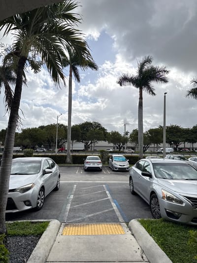 A parking lot features silver cars neatly parked in designated spaces. A sidewalk runs alongside the parking spots, with a textured yellow warning strip marking the edge. Palm trees frame the scene, their tall trunks and fronds reaching towards a sky filled with cloudy patches. A light pole stands between the palm trees. The parking lot is bordered by green foliage and buildings in the background.