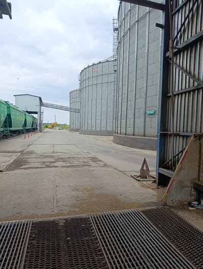 The image depicts an outdoor industrial scene at a grain elevator, likely located in the Раснянскі сельскі Савет, Belarus. Several large, corrugated metal silos dominate the background, stretching upwards against a cloudy sky. A conveyor belt system connects one of the silos to a smaller, attached building. In the middle ground, a yellow excavator is visible on a paved area. To the left, a green train with several freight cars is parked on a railway track, with orange cone markers lined up along the track. The foreground shows a concrete area with grates, suggesting an industrial loading or unloading zone. Grains are scattered on the concrete. The overall setting is functional and industrial, with no people visible. The lighting suggests it is daytime, with overcast weather conditions. A green sign with white text is affixed to one of the silos, but the text is too small to be legible in the original image.